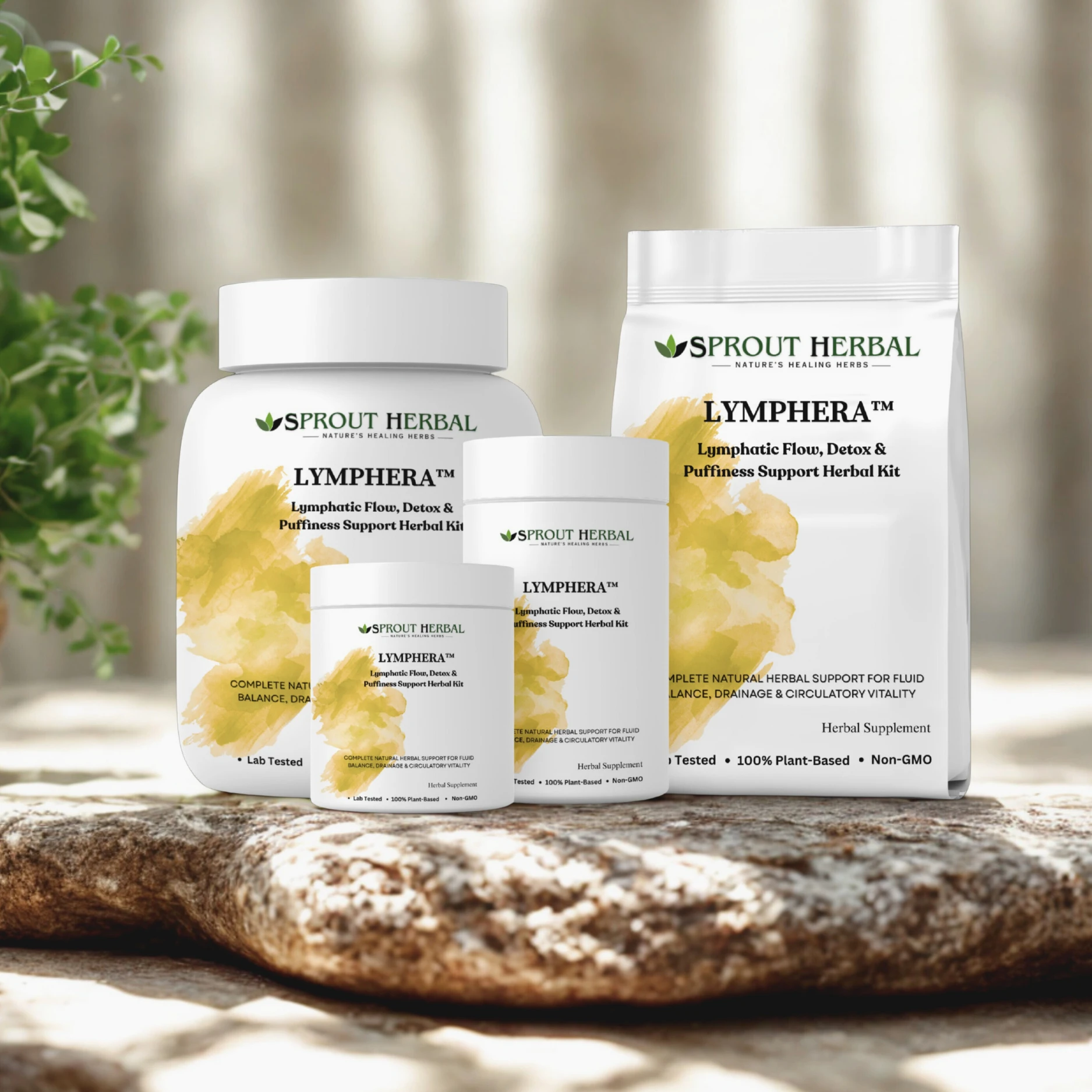 Lymphera Herbal Kit Image 3