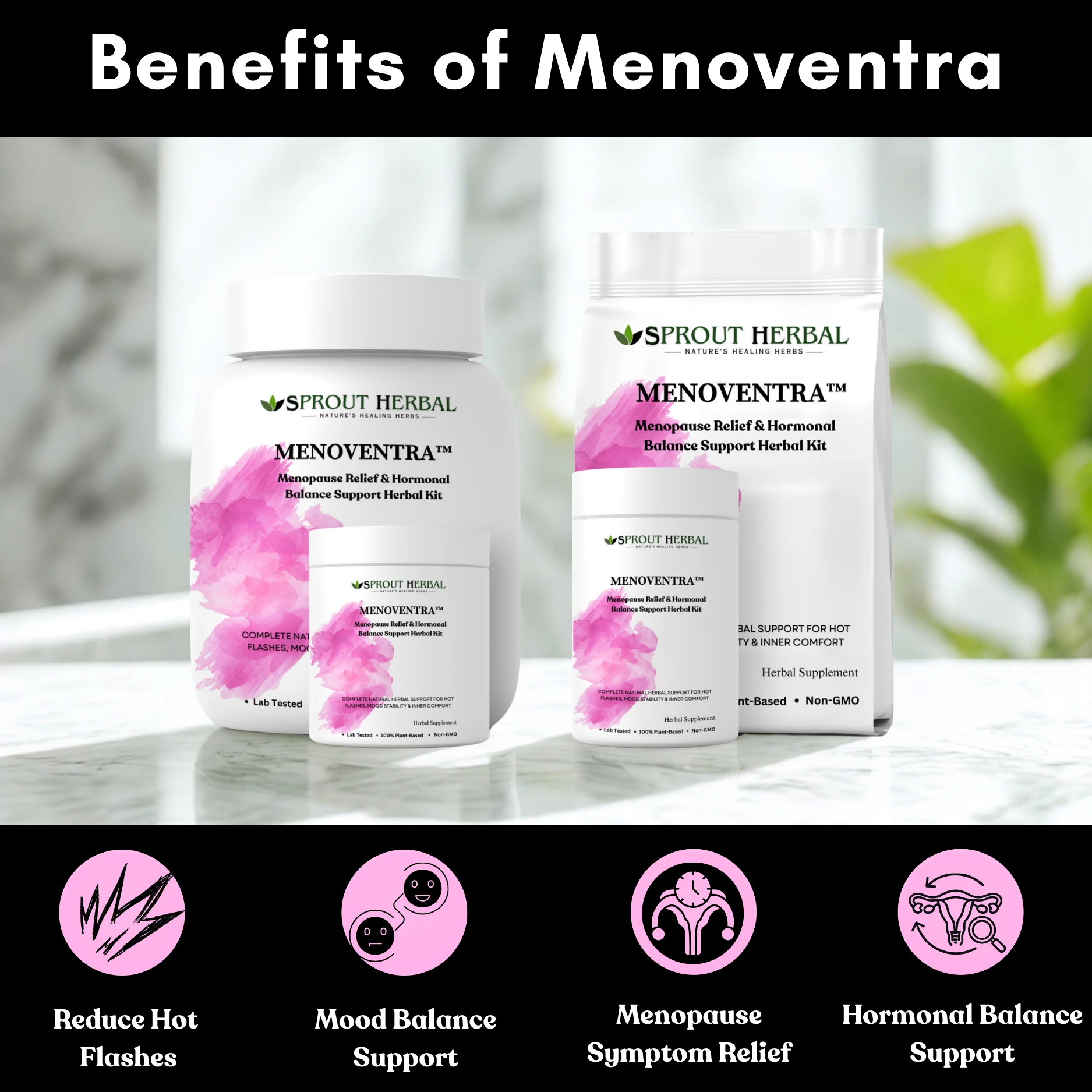 Menoventra Herbal Kit Image 4