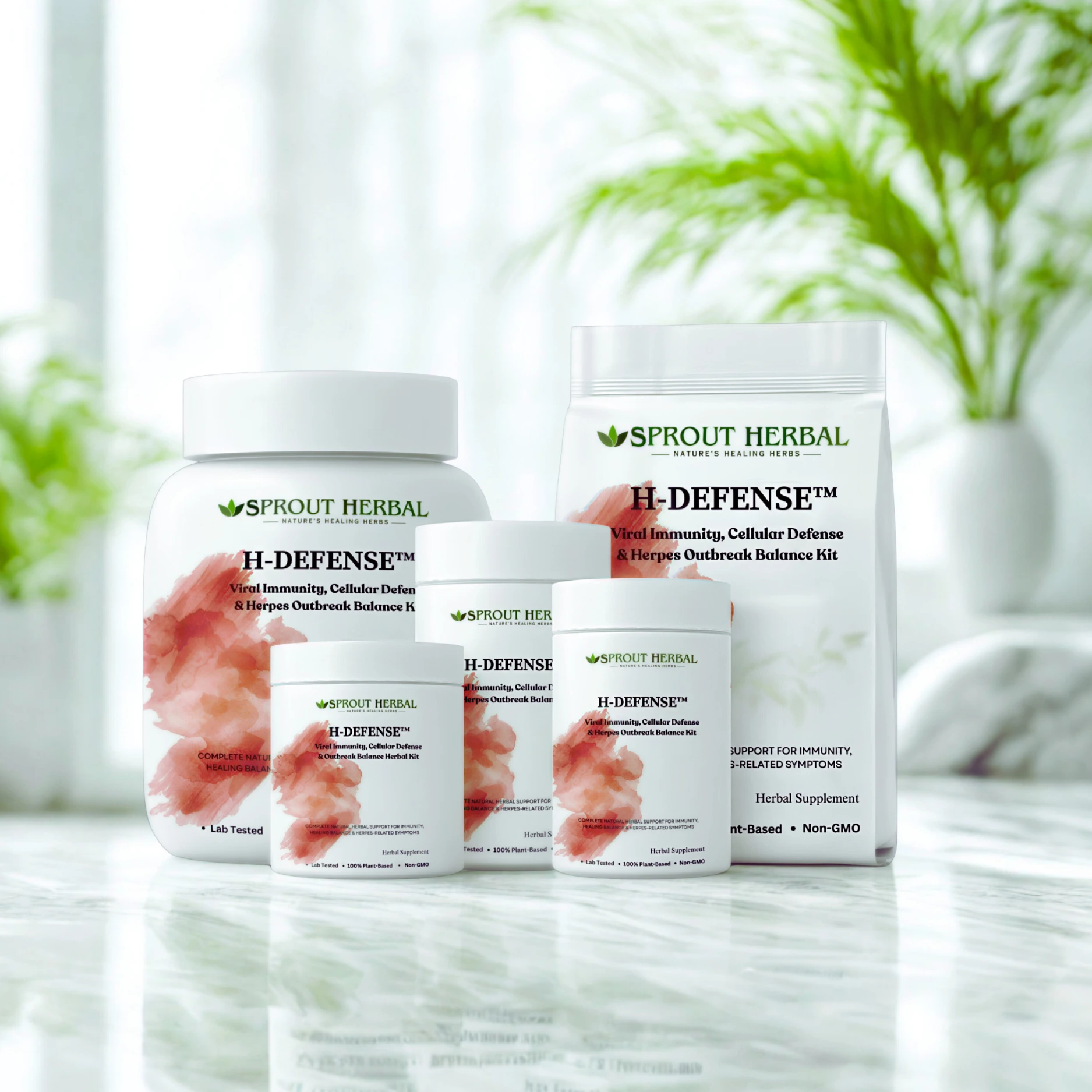 H-Defense Herbal Kit Image 3