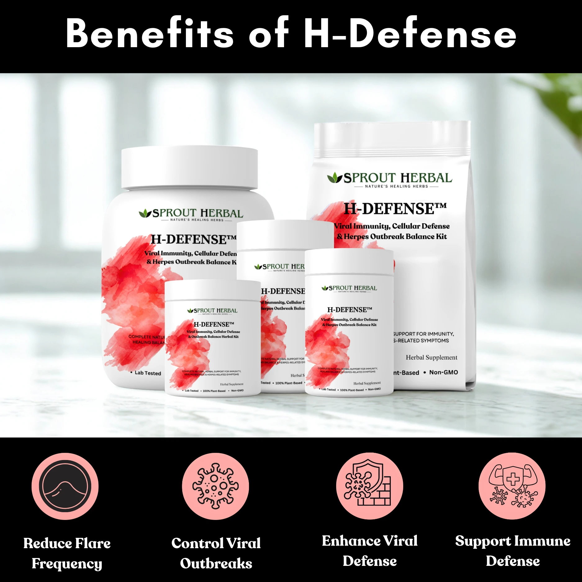 H-Defense Herbal Kit Image 4